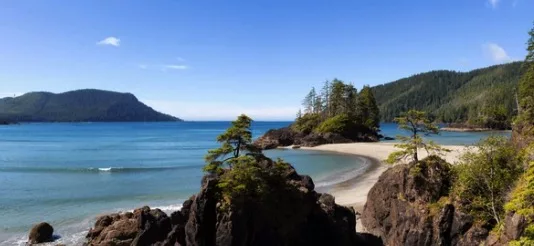 A picturesque cove with a sandy beach bordered by pine trees on Vancouver Island, representing the tranquil and scenic living environments available on the island.